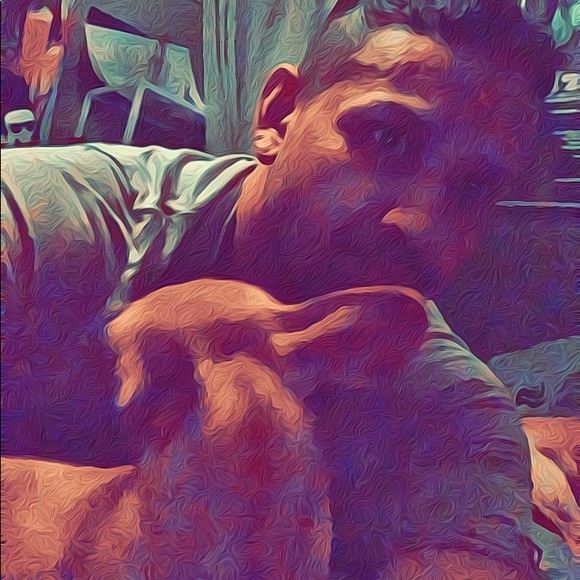 Meet your Posher, Luis - Picture 7 of 14